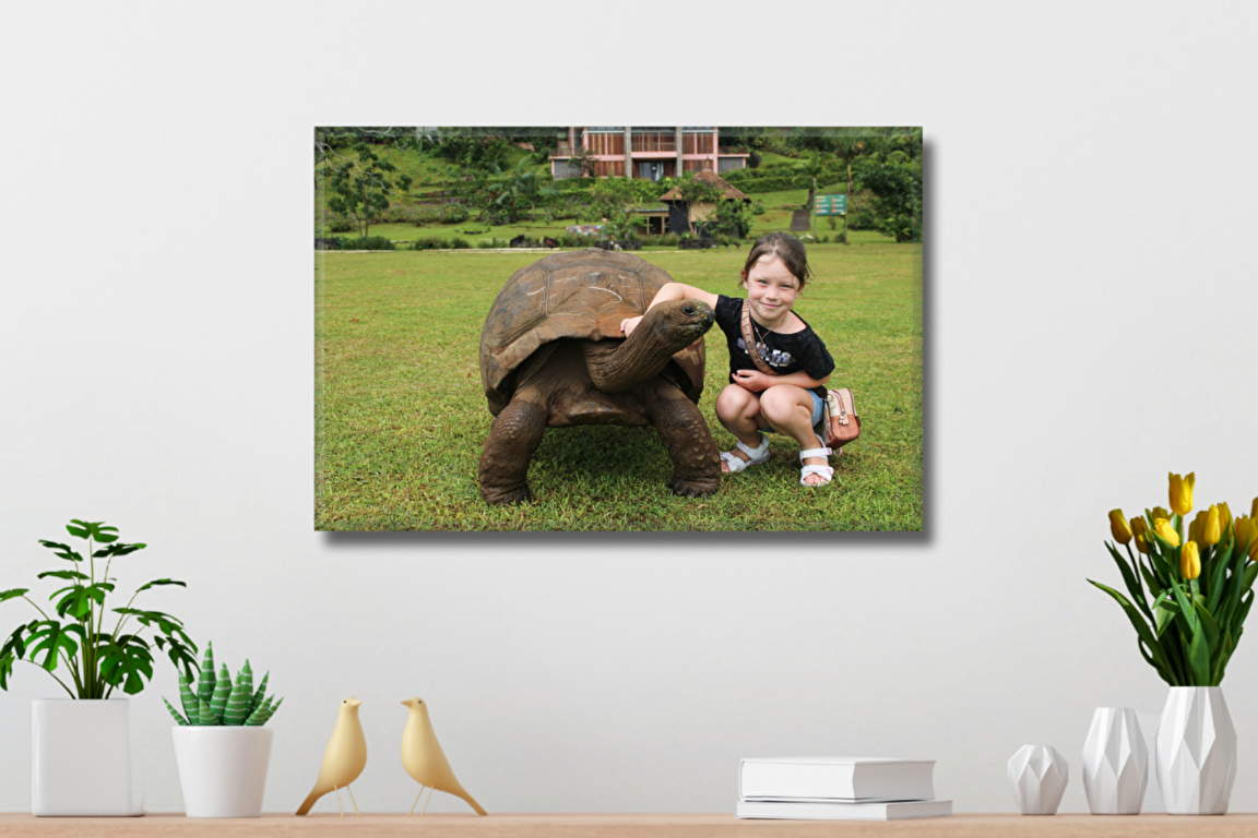 Levně Fotoobraz 60x40 cm z vlastní fotografie, Plátno 100% polyester: 240g/m², S lakováním