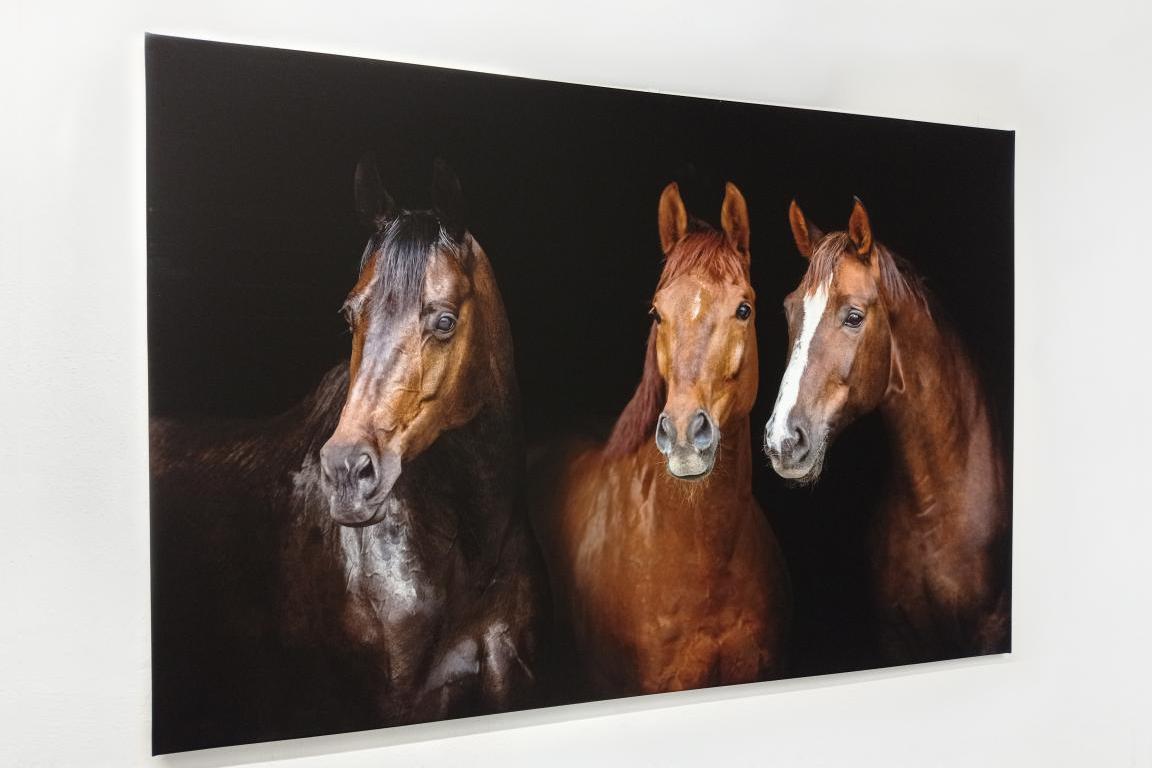 Levně Fotoobraz 150x100 cm z vlastní fotografie, Plátno 100% bavlna: Premium Canvas 390g/m²