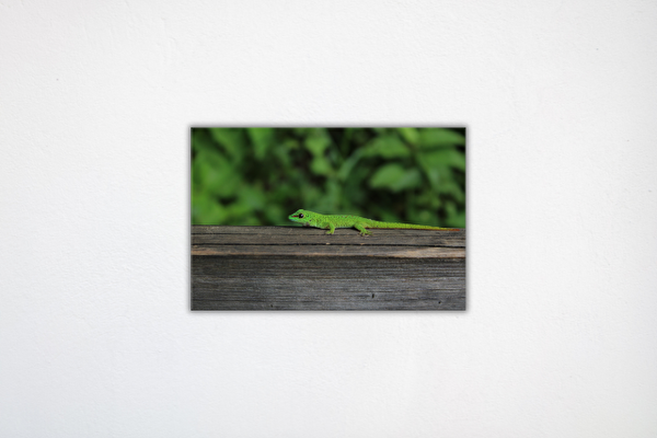 Tisk na plexisklo 40x30 cm